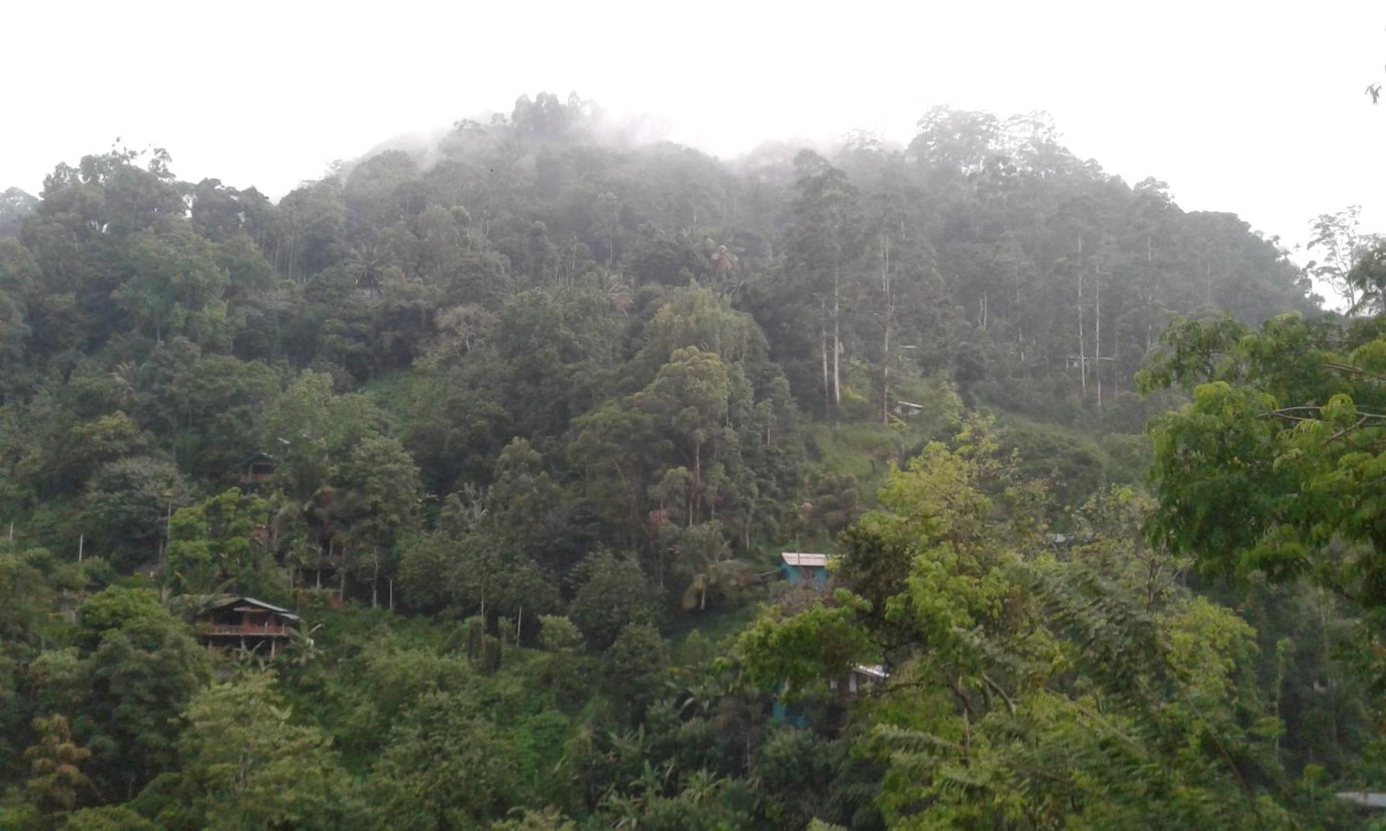 Ella Lucky Panoramic Hotel Ruang foto